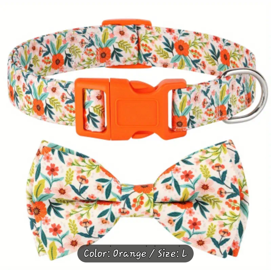 Collars and Bandanas