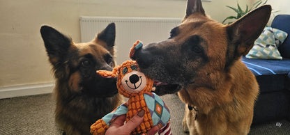 Soft toy for dogs